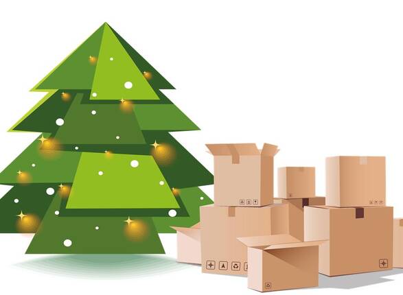 Collecte de CARTONS et SAPINS de NOEL